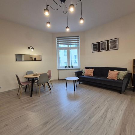 Appartamento Duzy Komfortowy Apartament W Samym Centrum Przy Manufaktura I Piotrkowska, Blisko Zoo, Fala Łódź Esterno foto